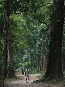 Maruni Sanctuary Lodge Chitwan Kumrose Community Forest