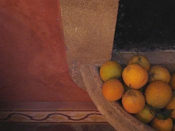 Villa Garance Guesthouse Essaouira 10 Rue A. Eddakhil