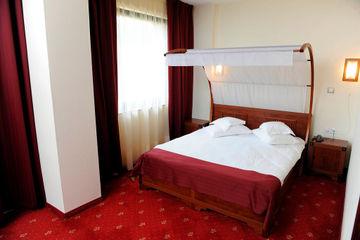 Business Hotel Conference Center & Spa Tirgu Mures B-dul 1 Decembrie 1918 no 250