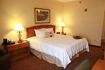 Holiday Inn Hotel & Suites Council Bluffs 2202 River Road