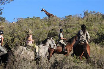 Protea Hotel Botlierskop Private Game Reserve Mossel Bay Farm Botlierskop, Little Brak River District