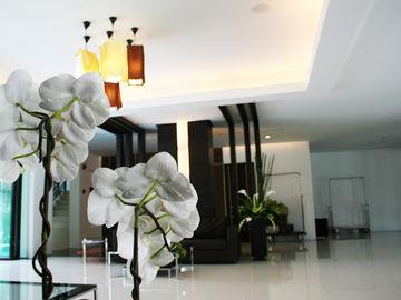 Vogue Hotel Pattaya 315/33 M.9, Pattaya 3 Road