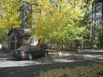 Castle Wood Cottages Big Bear Lake 547 Main Street