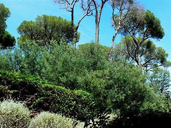 Hotel Les Jardins De Sainte-Maxime Chemin Des Deux Ruisseaux - Les Myrtes