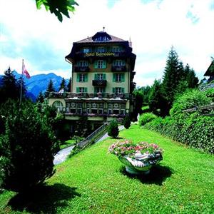 Belvedere Hotel Wengen Galliweidli