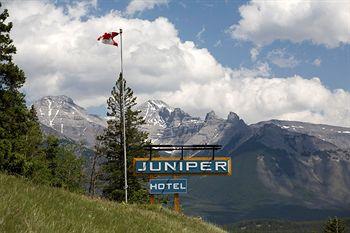 Juniper Hotel Banff 1 Timberline Way