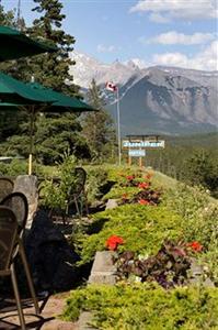 Juniper Hotel Banff 1 Timberline Way