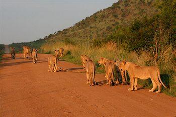 Tshukudu Bush Lodge Pilanesberg National Park PO Box 6805