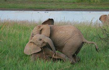 Tshukudu Bush Lodge Pilanesberg National Park PO Box 6805