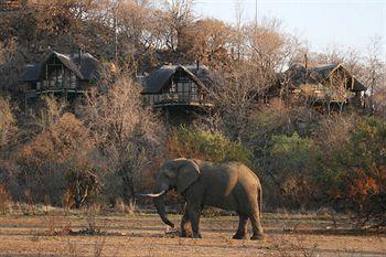 Tshukudu Bush Lodge Pilanesberg National Park PO Box 6805