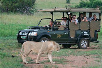 Tshukudu Bush Lodge Pilanesberg National Park PO Box 6805