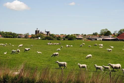 Aan de Wymerts Hotel Workum Noard 37