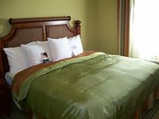 Hotels