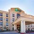 Holiday Inn Express Hotel & Suites Dallas-Medical Center with Shuttle