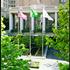 Book Hotel in Seattle, Washington, United States, 411 University Street