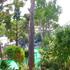 Anacapri Photo