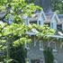 Book Hotel in Devil's Bridge, Wales, United Kingdom, Devils Bridge