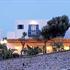 Book Hotel in Mykonos, , Greece, Rohari