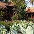 Chiang Mai Photo