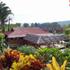 Photo of Ue Datu Cottages Photo of Ue Datu Cottages