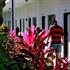 Red Carpet Inn Nassau Red Carpet Inn Nassau