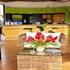 Hotel Lavas Tacotal Hotel Lavas Tacotal