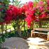 Nissi Beach Holiday Resort photo