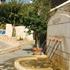 Basilica Holiday Resort photo