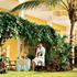 Dreams Punta Cana Resort & Spa photo