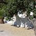 Book Hotel in Giardini Naxos, Sicily, Italy, Via San Giusto - Localita Pietralunga