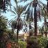 Photo of Hotel Du Jardin Tozeur Photo of Hotel Du Jardin Tozeur