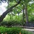 Book Hotel in Brookline, Massachusetts, United States, 123 Longwood Ave