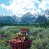 Book Hotel in Teton Village, Wyoming, United States, 7680 GRANITE LOOP