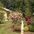 Photo of Silverstream Bed & Breakfast Cottages Buxton (Australia) Photo of Silverstream Bed & Breakfast Cottages Buxton (Australia)