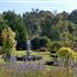 Photo of Silverstream Bed & Breakfast Cottages Buxton (Australia) Photo of Silverstream Bed & Breakfast Cottages Buxton (Australia)
