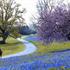 Book Hotel in Balcombe, England, United Kingdom, Brantridge Lane