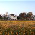 Photo of Azjure Studio Retreat Photo of Azjure Studio Retreat