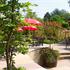 Book Hotel in Wye, England, United Kingdom, Wye Wye Upper Bridge Street