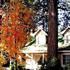 Photo of Sleepy Forest Cottages Photo of Sleepy Forest Cottages