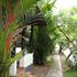 Photo of Thanneermukkom Ayurvedic Lake Resort Cherthala Photo of Thanneermukkom Ayurvedic Lake Resort Cherthala