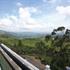 Photo of Misty Mountain Resort Photo of Misty Mountain Resort