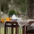 Photo of Siena Village Resort Munnar Photo of Siena Village Resort Munnar