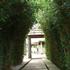 Photo of Siena Village Resort Munnar Photo of Siena Village Resort Munnar