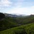 Photo of Elysium Gardens Hill Resorts Munnar Photo of Elysium Gardens Hill Resorts Munnar