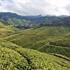Photo of Elysium Gardens Hill Resorts Munnar Photo of Elysium Gardens Hill Resorts Munnar