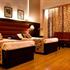 Hotel Broadway New Delhi photo