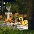 Book Hotel in Cervia, Emilia-Romagna, Italy, Piazzale Torino 16