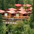 Denali River Cabins photo