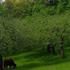 Photo of Hampton Inn Meriden Photo of Hampton Inn Meriden