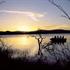 Photo of White Elephant Safari Lodge Pongola Photo of White Elephant Safari Lodge Pongola